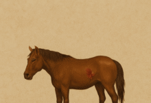 Rüyada Yaralı At Görmek Ne Anlama Gelir?