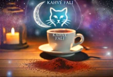 Falda Kedi Görmek