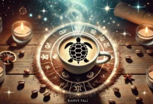 Falda Kaplumbağa Görmek