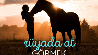 Rüyada At Görmek