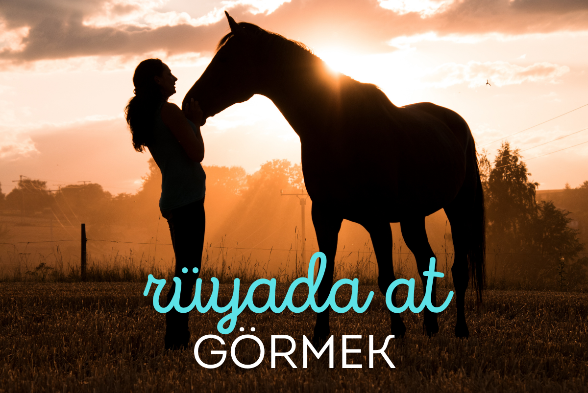 Rüyada At Görmek