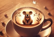 Falda Koala Görmek