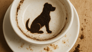 Falda Köpek Görmek