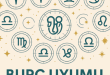 Burç Uyumu
