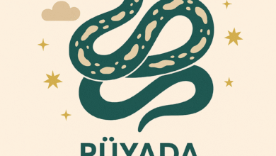 rüyada yılan görmek