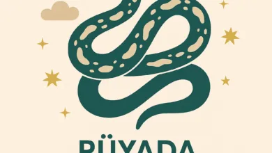 rüyada yılan görmek
