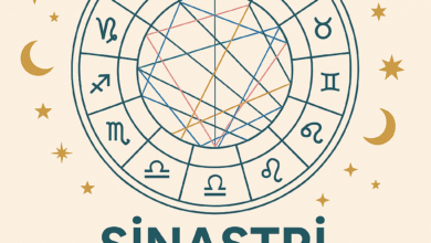 Sinastri Haritası