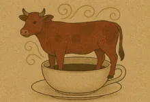 Falda Dana Görmek