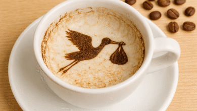 Kahve Falında Leylek Ağzında Paket